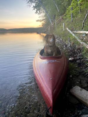 Tucker in Kayak